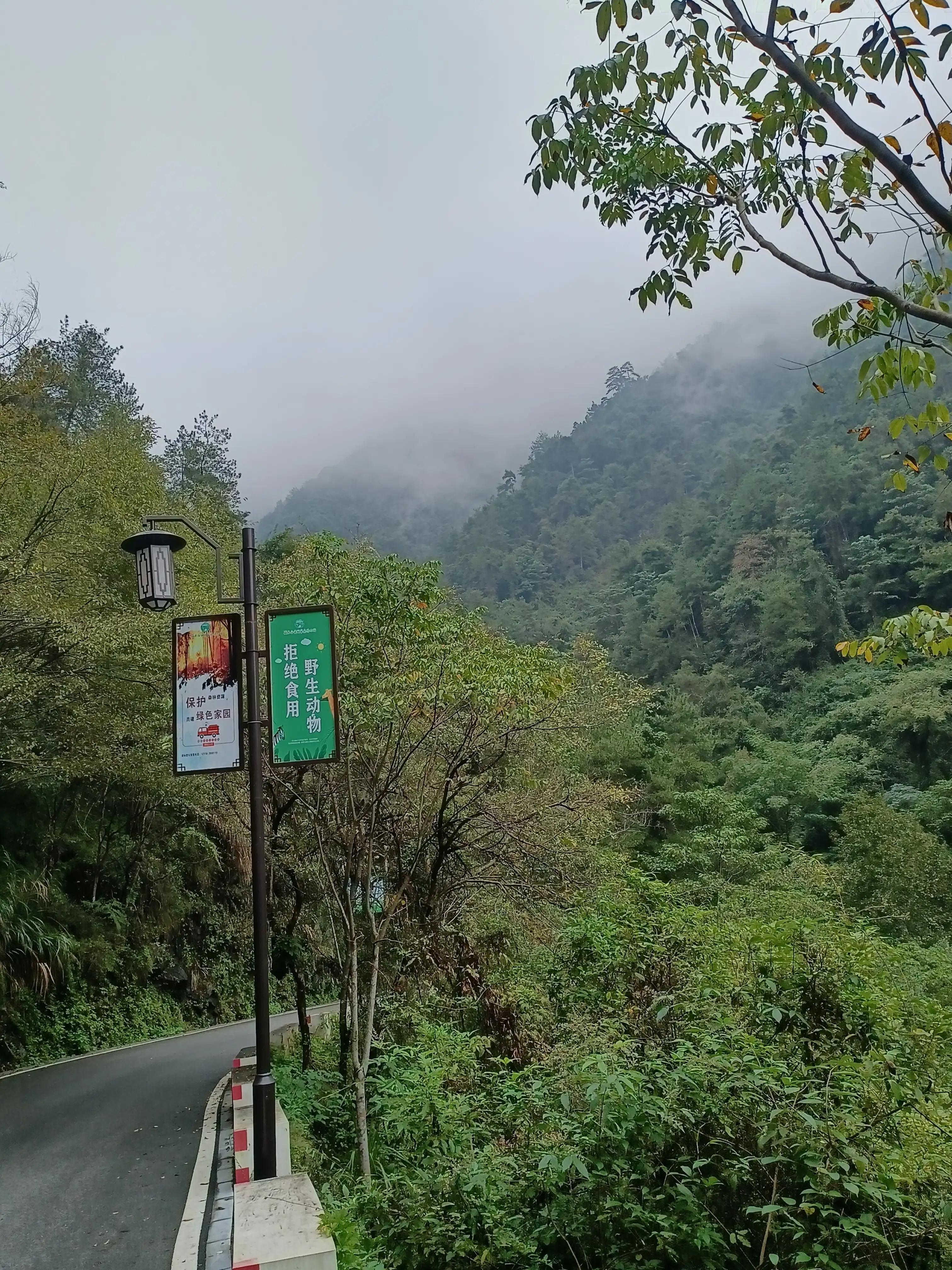 行到水穷处，坐看云起时一一雨游白云山