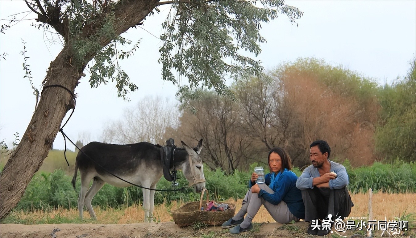 豆瓣8.3，《隐入尘烟》这部电影或许是最被低估的电影了