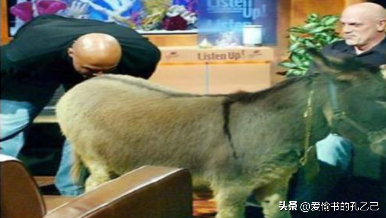 王治郅NBA数据（中国球员NBA生涯总薪资：周琦133万美元，易建联、姚明、王治郅呢）