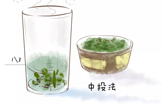 冲泡绿茶最忌讳先放茶后倒水？教你3种泡法，泡一杯好茶不是问题