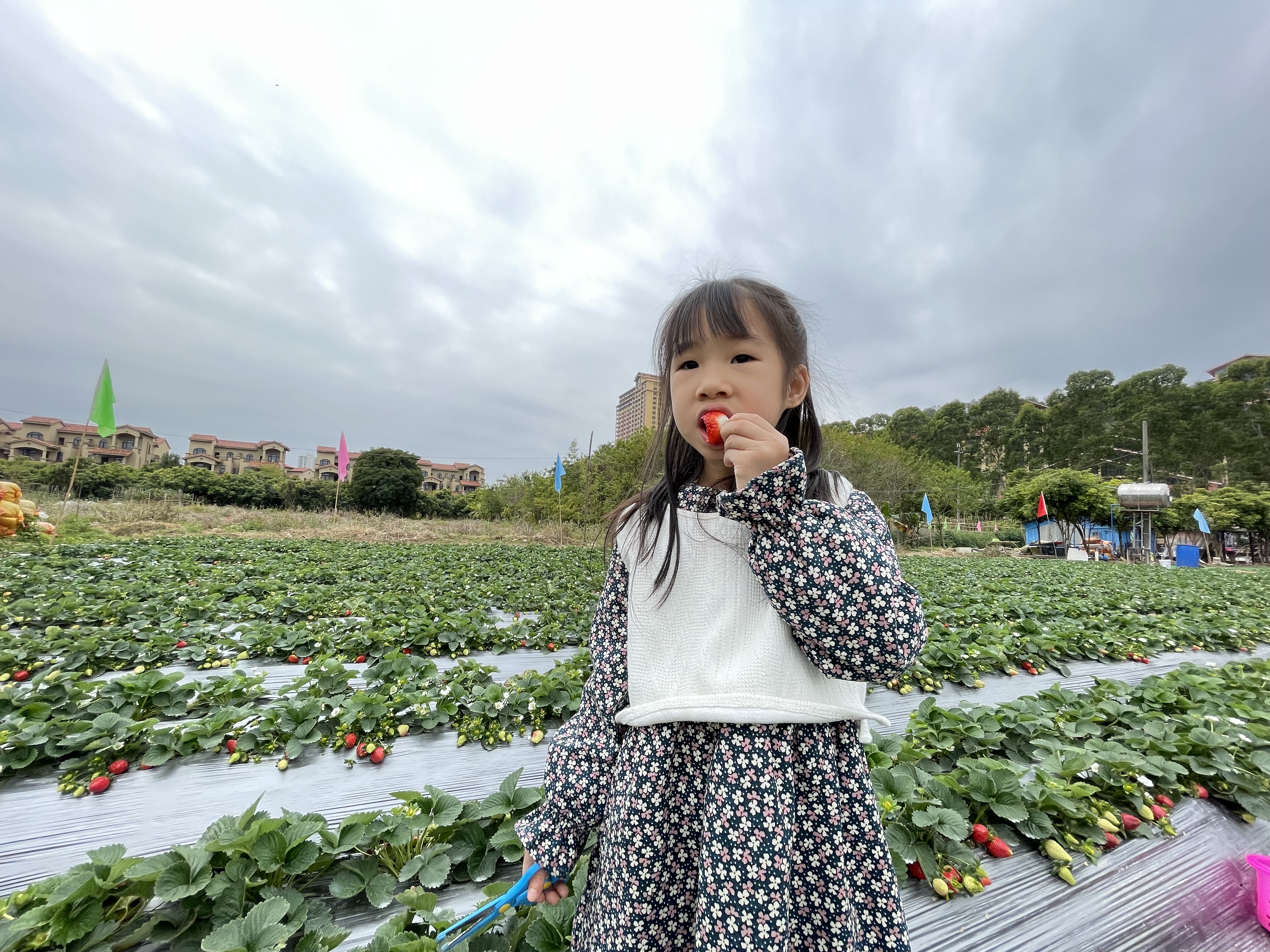 广东泡温泉去哪里？记得收藏广州后花园南昆山的游玩一站式攻略