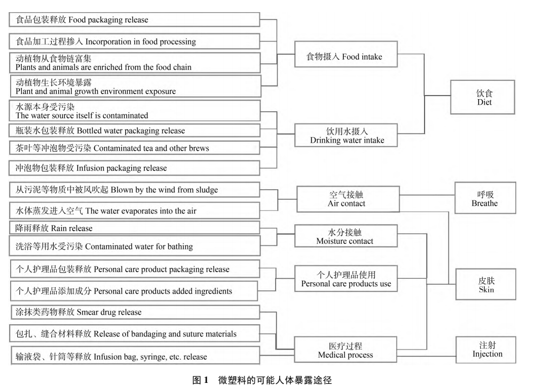 首次在人体血液中发现微塑料，或已遍布全身