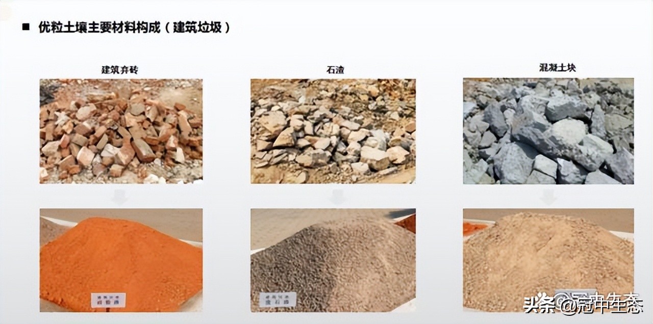 冠中生态｜揭开“优粒”土壤的神秘面纱