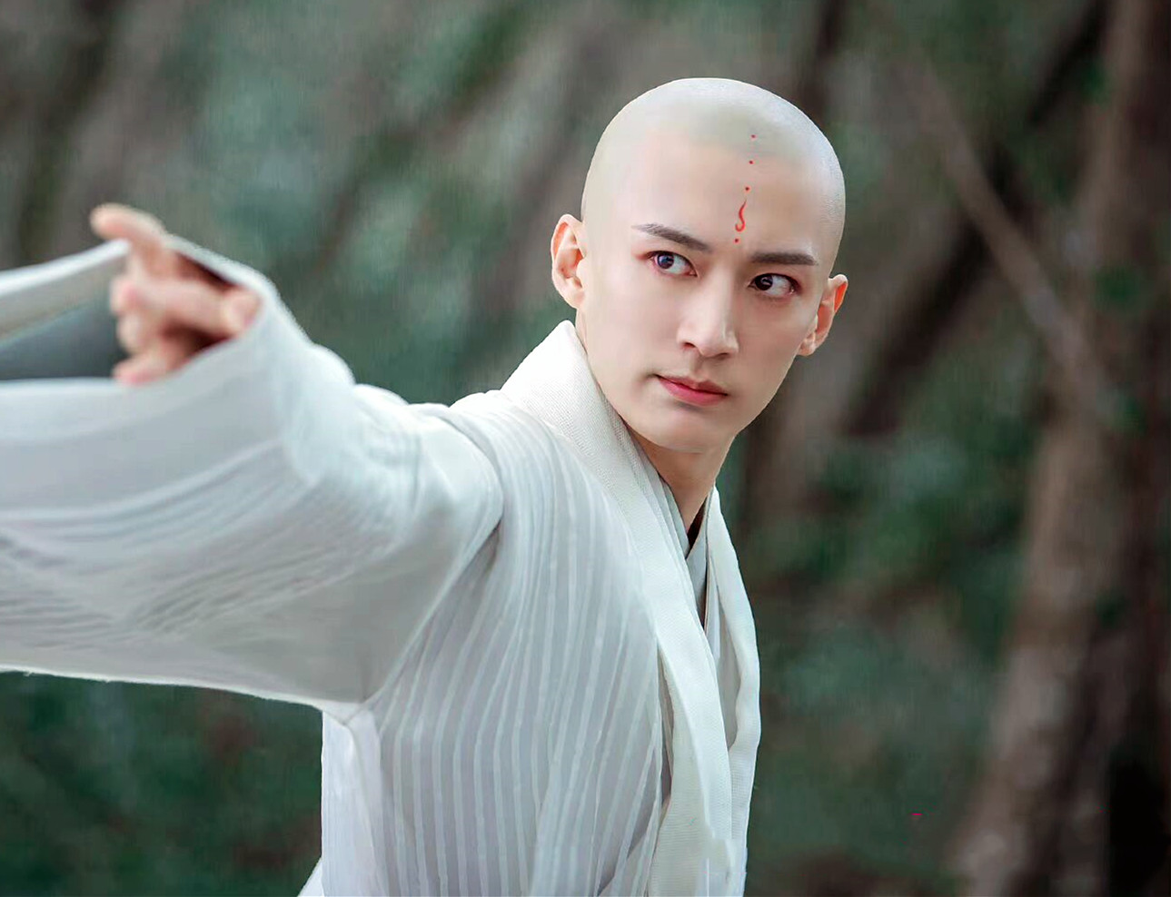 阴差阳错练成了叶鼎之的武学无法无相神功的天龙相,无功大成,然而彼时