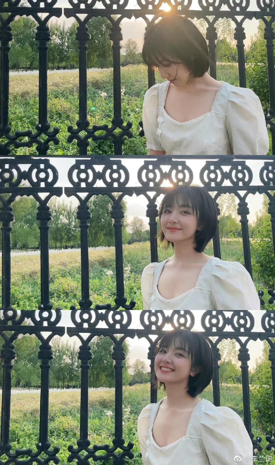 今日份新鲜的李兰迪