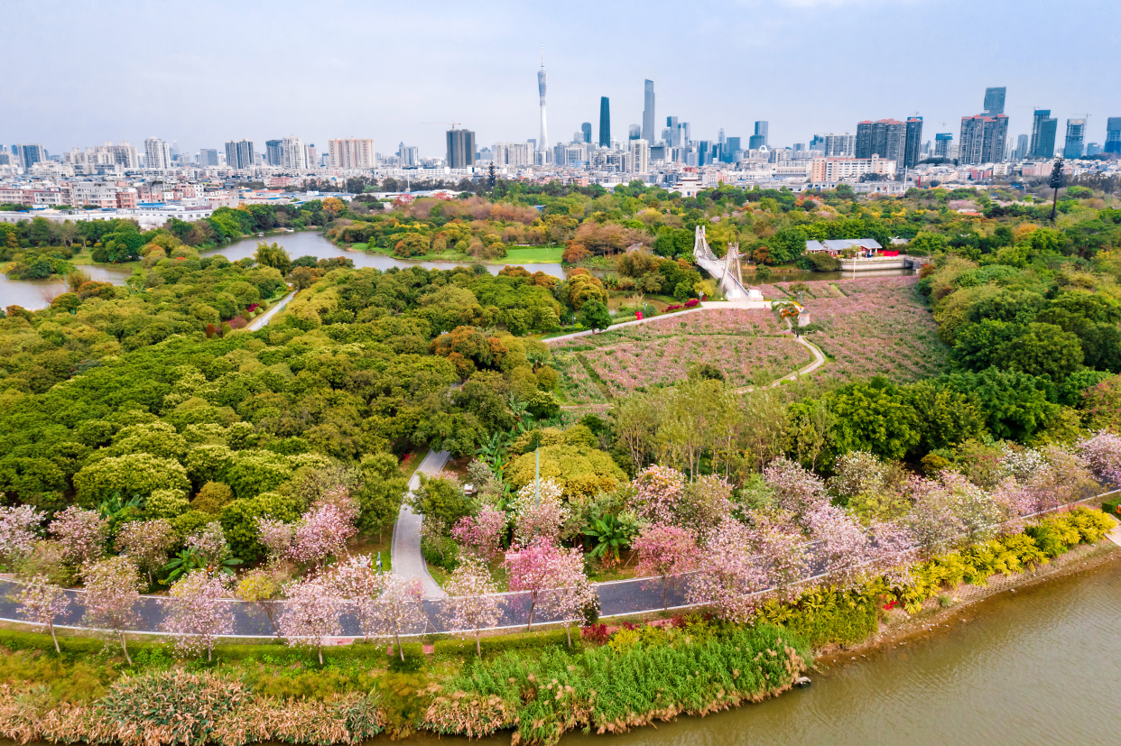 广州哪里风景好看(​广州有六个山清水秀的美景，适合全家出游，你知道在哪里吗？)