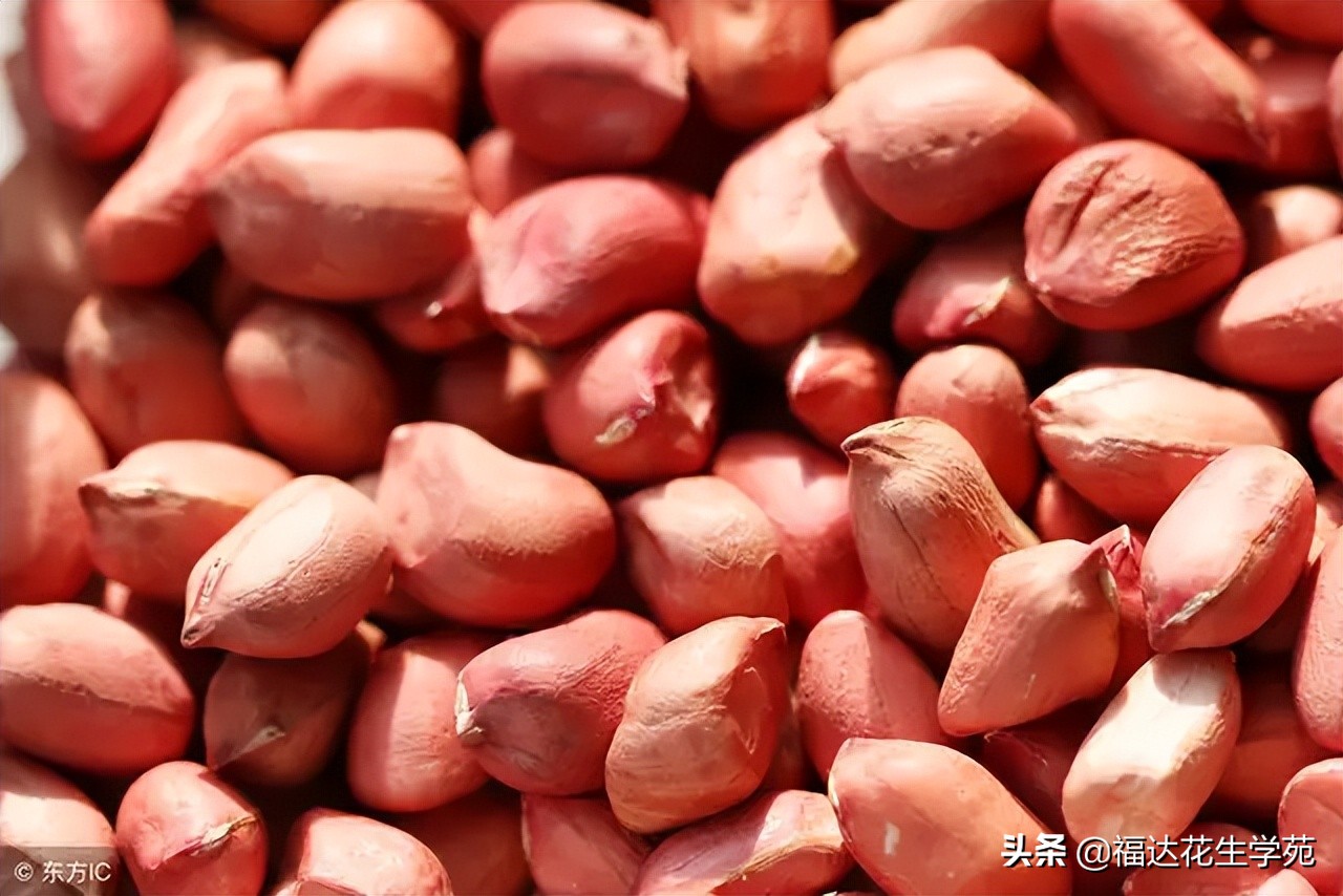 「花生价格」4月15日辽宁黑山,北镇,义县,凌海花生市场行情