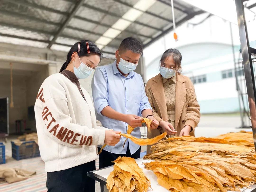 出彩农大人丨植沃土献青春的“农大学子”
