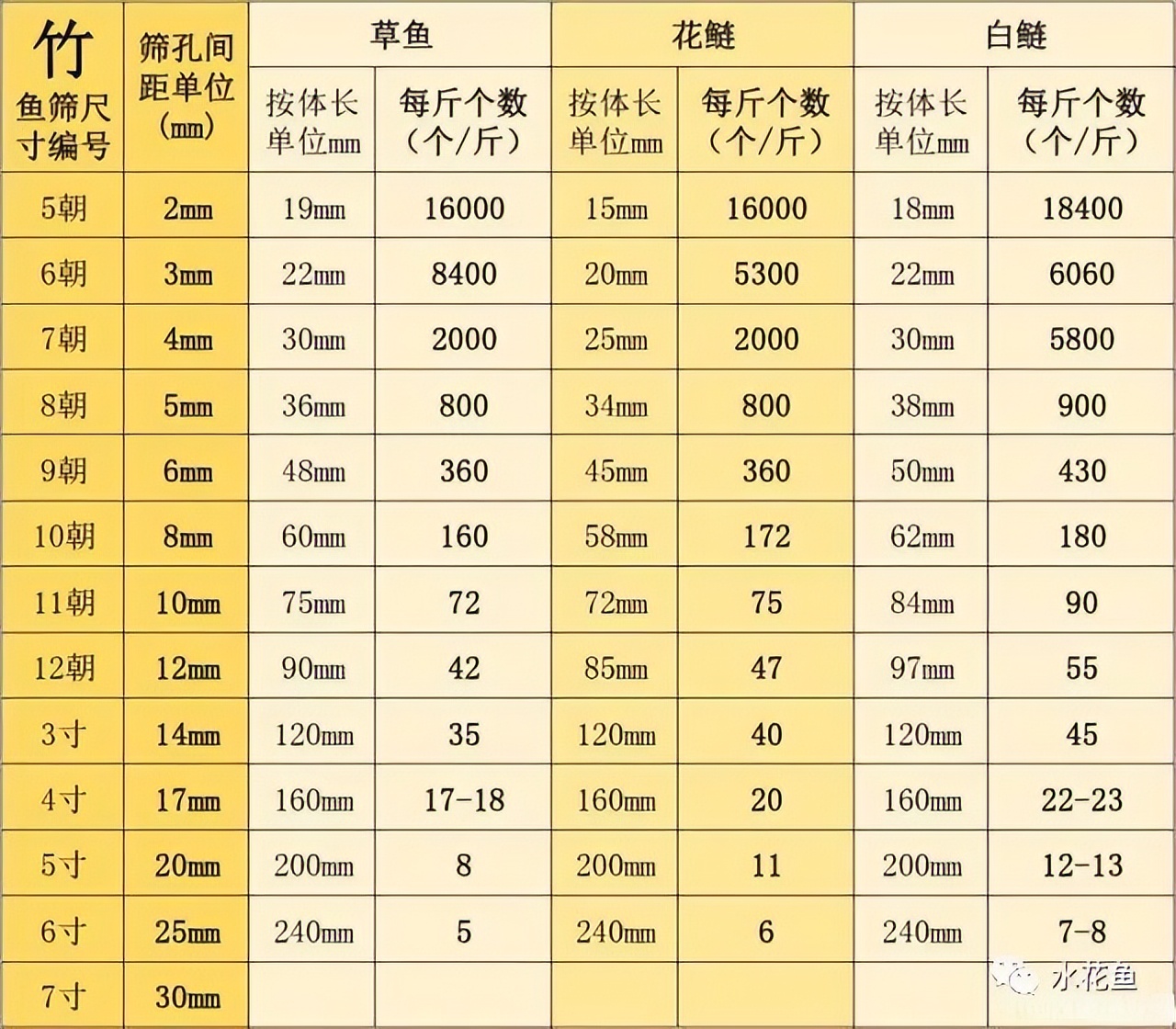 鱼儿筛小留大的工具——鱼筛：一个古老而又很有生机的传统方法