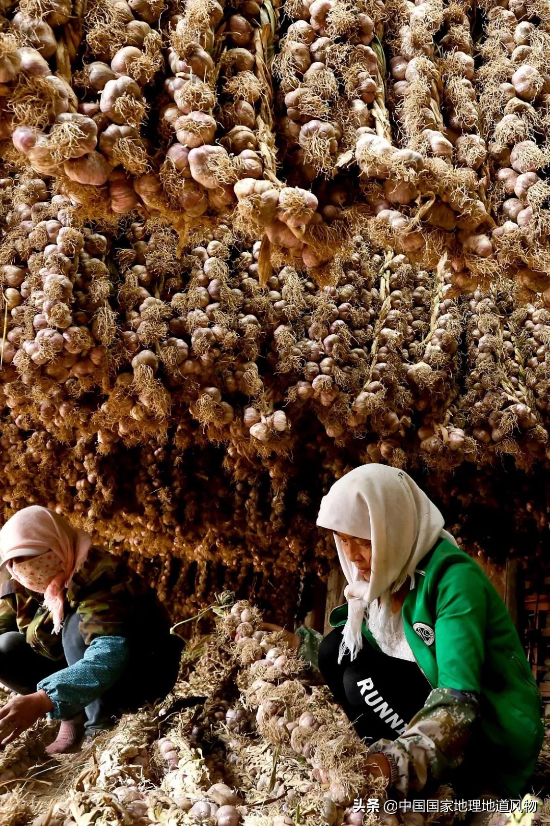 �й���͵����߲˴�ʡ��Ϊʲô�Ǹ��ࣿ