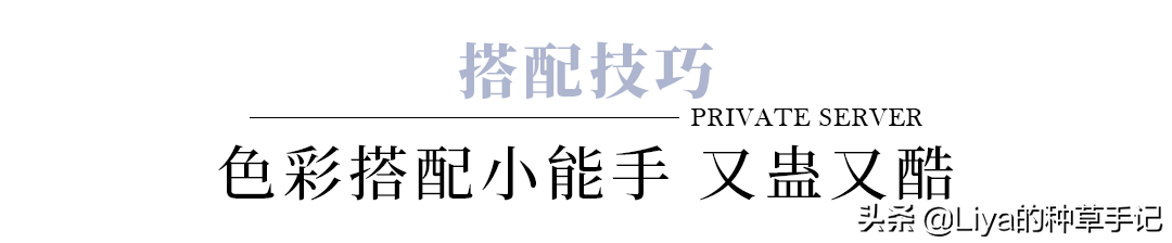 宁静《浪姐3》丑上热搜？求求退赛吧