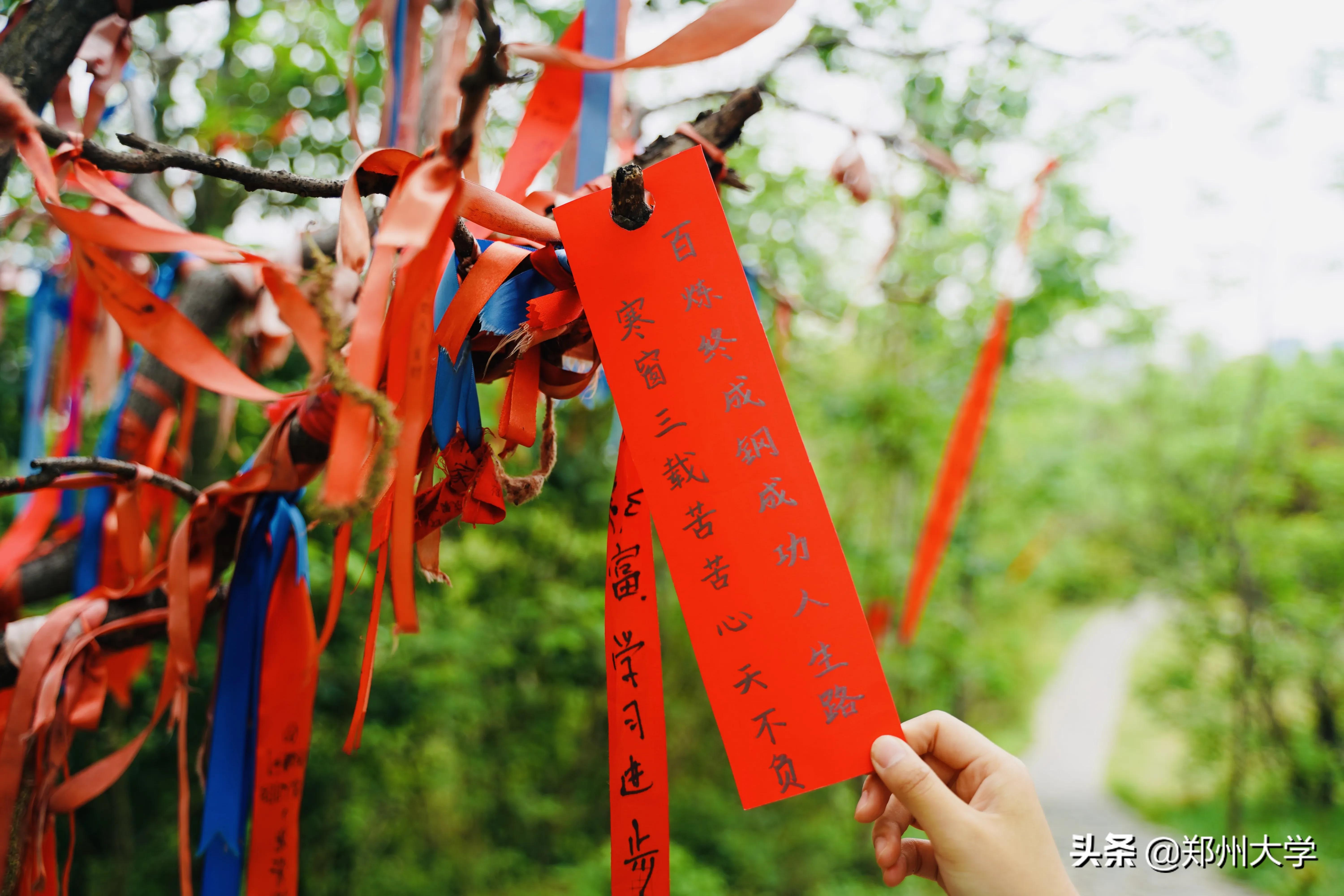 高考倒计时50天！请收下来自郑大厚山的祝福！