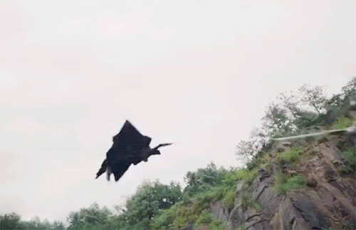 武不能打，侠不够味，武侠还有救吗？