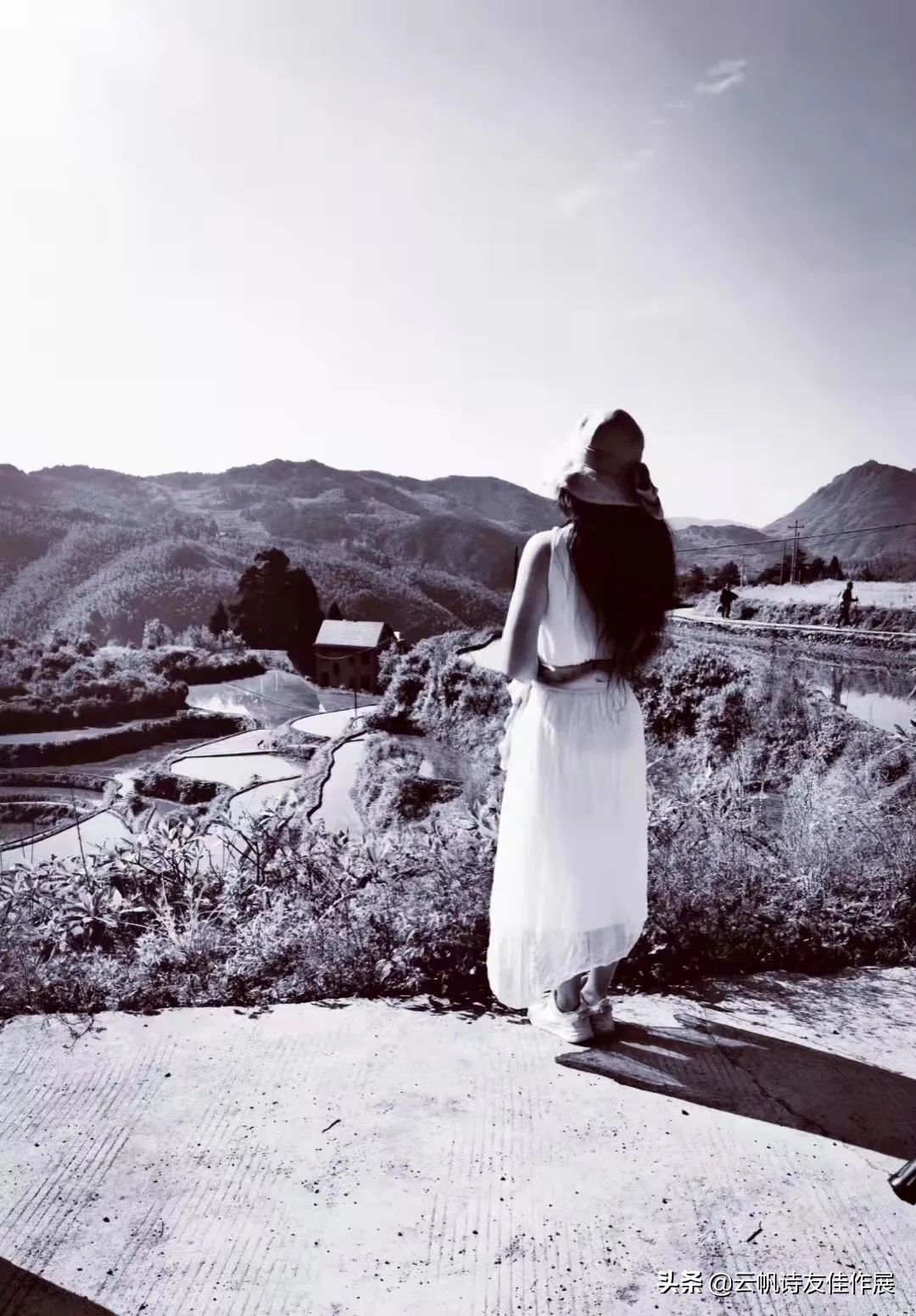 「特别推荐」林丫头：《侧身集》辛丑存稿