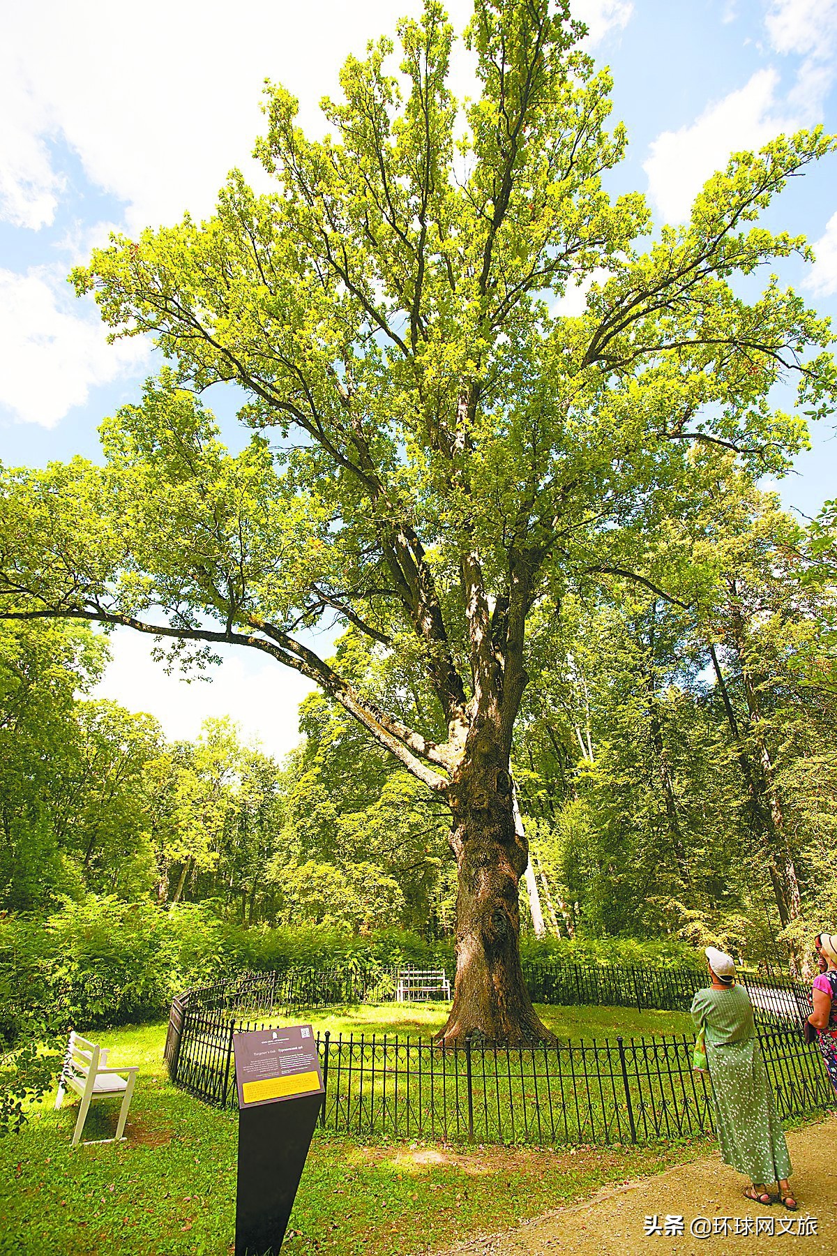 2021欧洲杯树状赛程表高清图（欧洲大树，都有很多故事）-华海博客