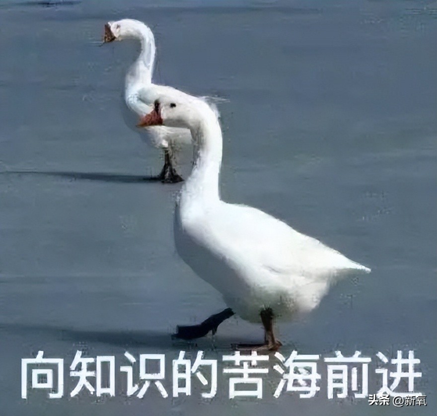 瓦妮莎怎么這么胖（300斤的瓦妮莎胖了？10個超簡單的微習慣，讓你的身材變苗條）