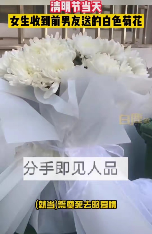 女生清明节收到前男友送的白菊花