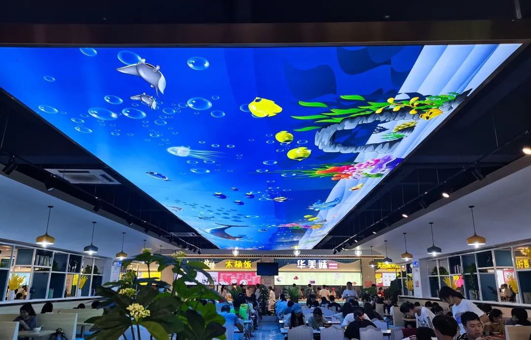 视觉盛宴！海岛风光惊艳众人，这些藏在一流大学中“打卡地”火了