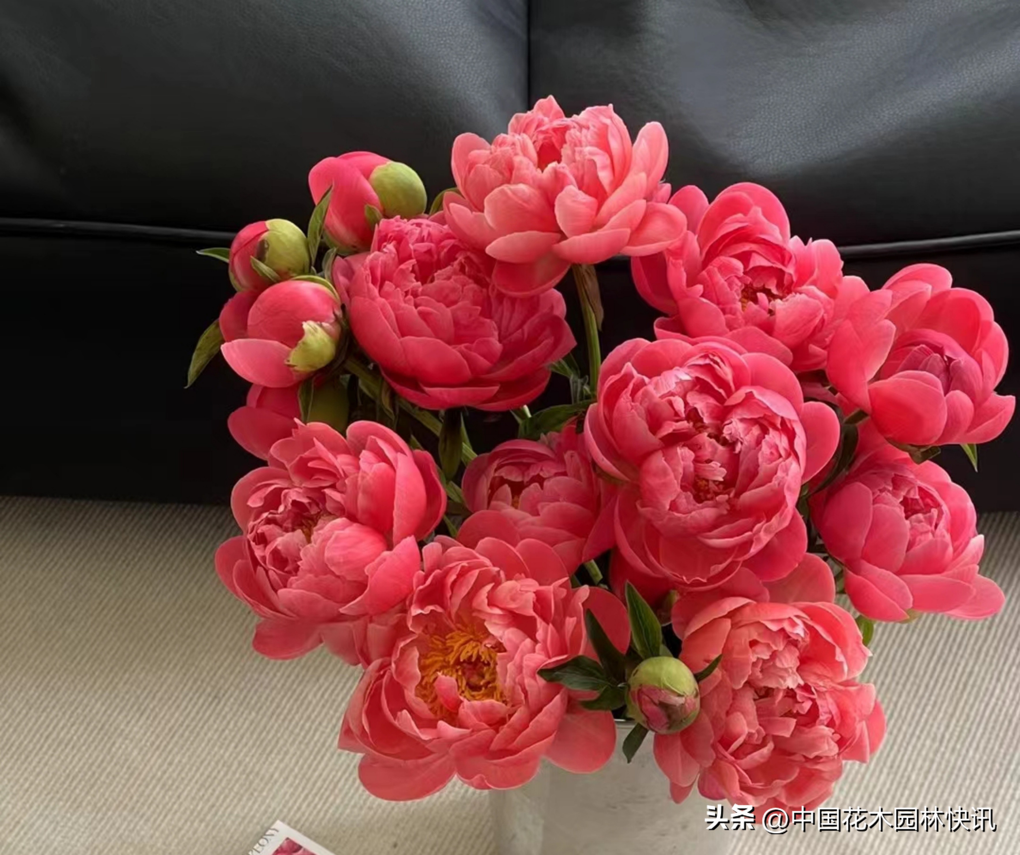 总有一种是你喜欢，盘点母亲节前夕斗南花市热销的芍药切花