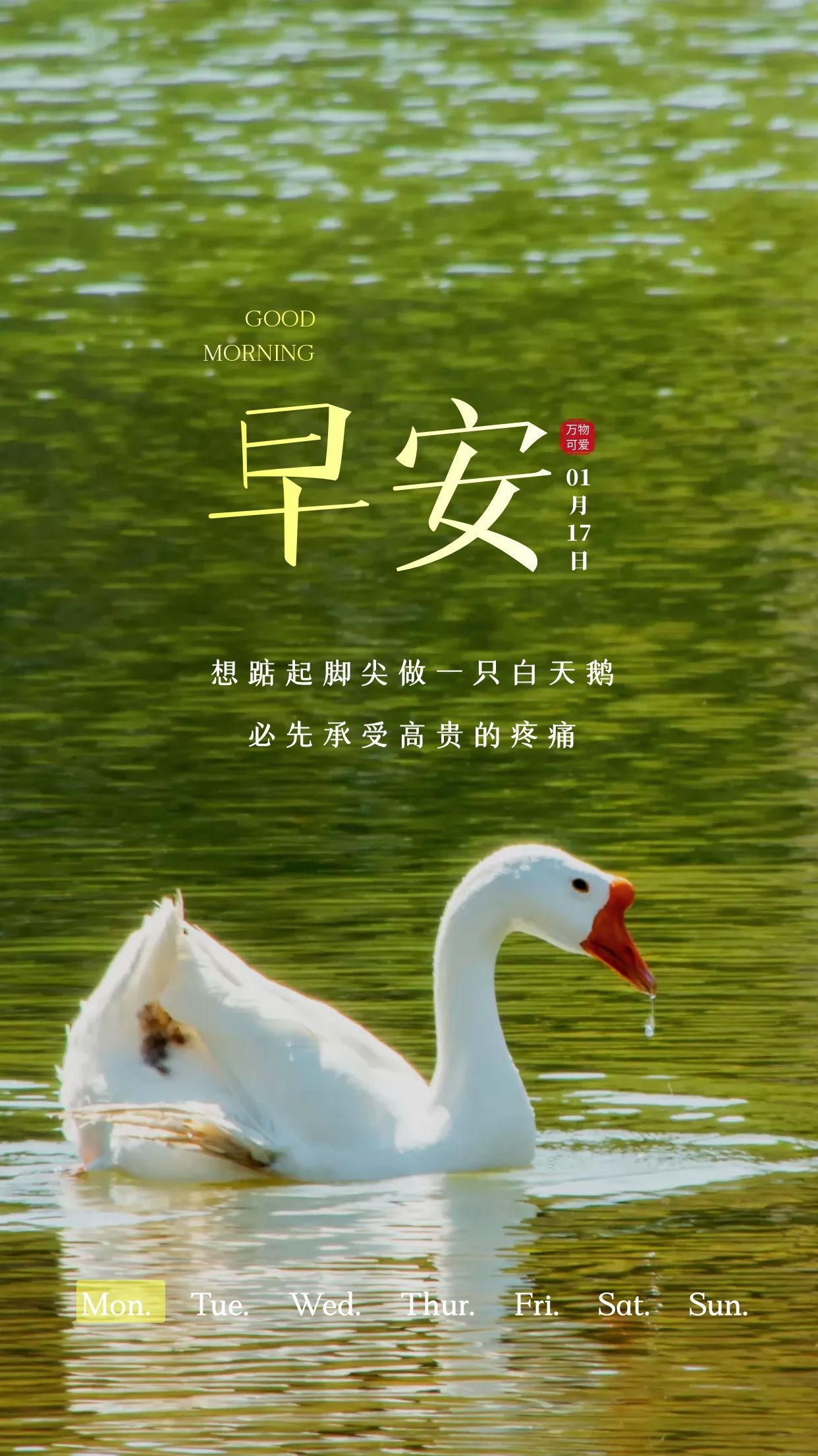 励志阳光的早上好语录图片,心怀梦想,何惧山海