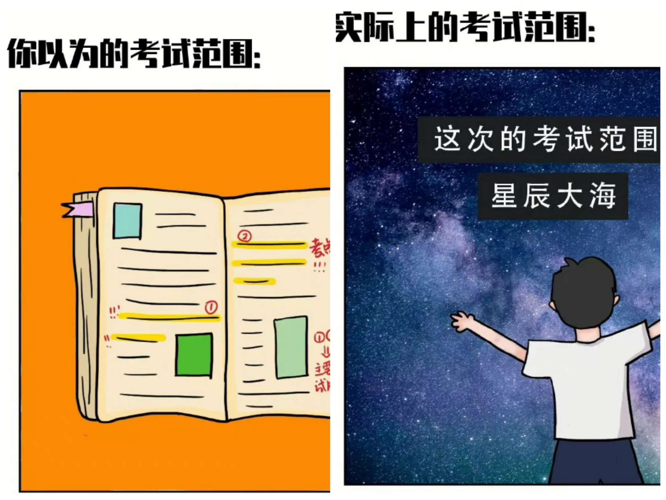 理想中的大学和实际上的大学，差得不止一点点，看完内心五味杂陈