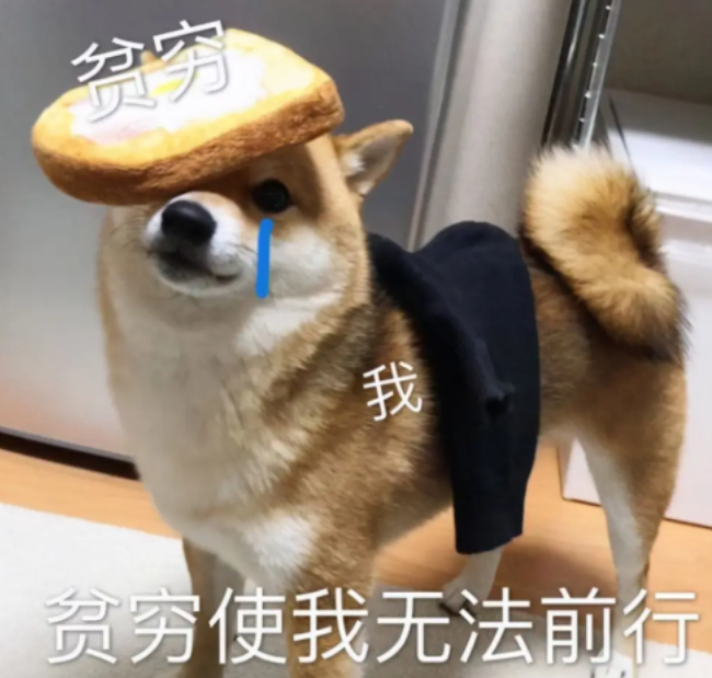 大学生每月生活费等级表，第一级堪比荒野求生，确定是亲生的？