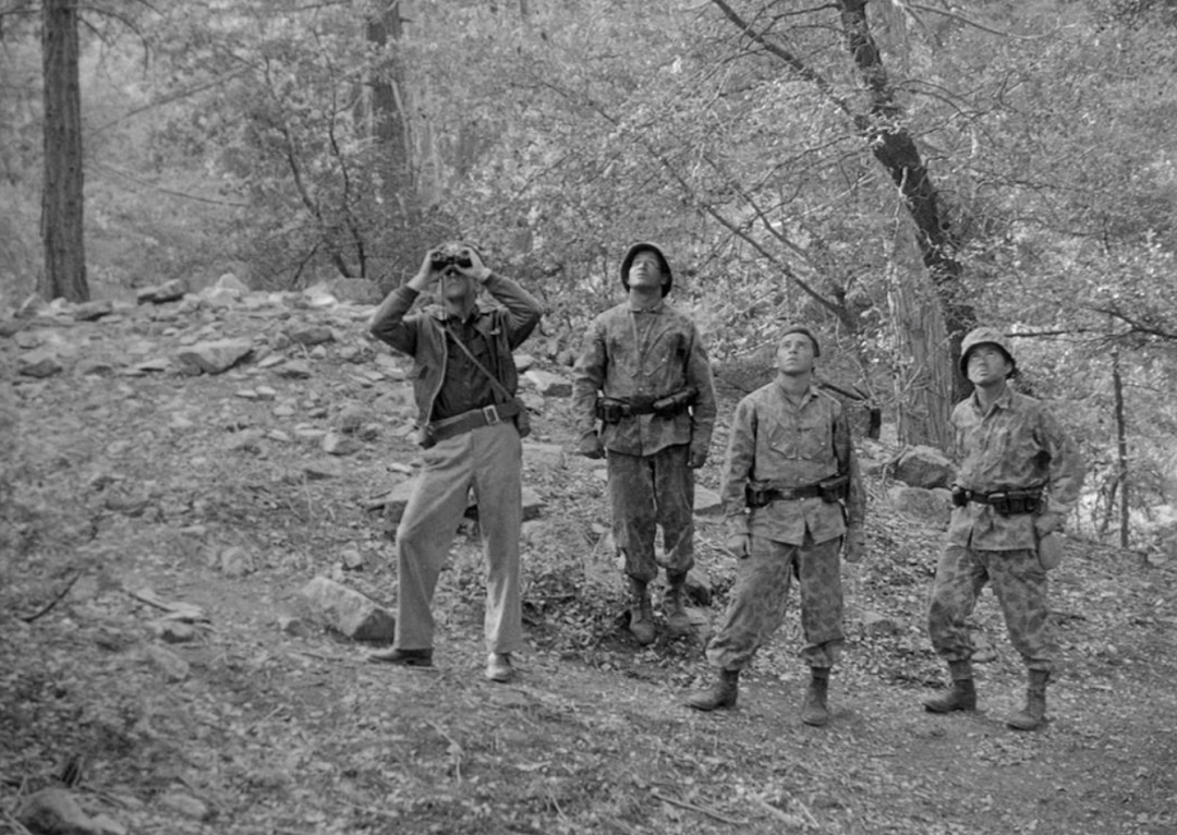 疯狂的赛车刘德华（66年前，库布里克拍了《杀手》，50年后，有了《疯狂的石头》）