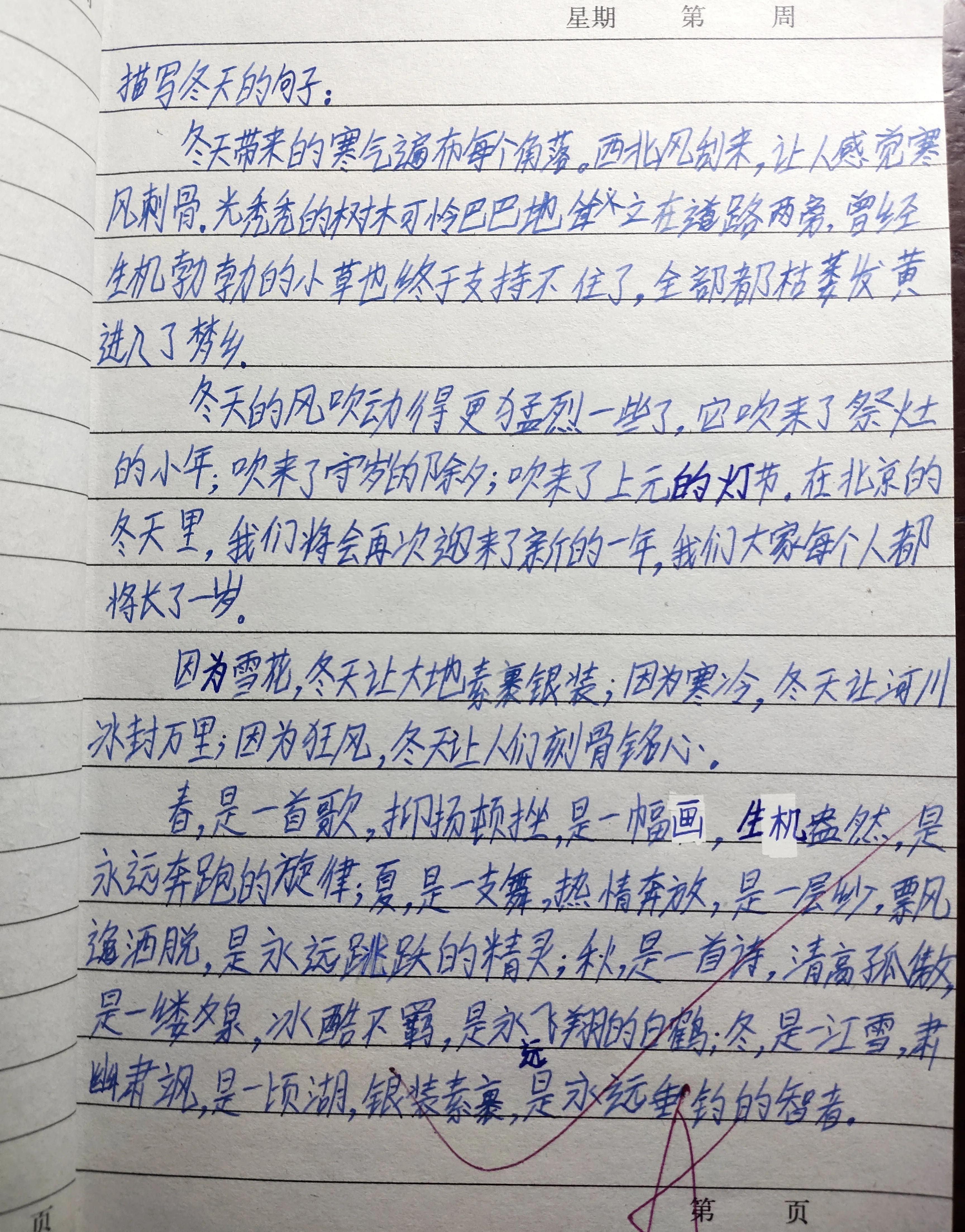 看我家初三生五年级的读书笔记：摘抄的句子很美，个人的感悟很深