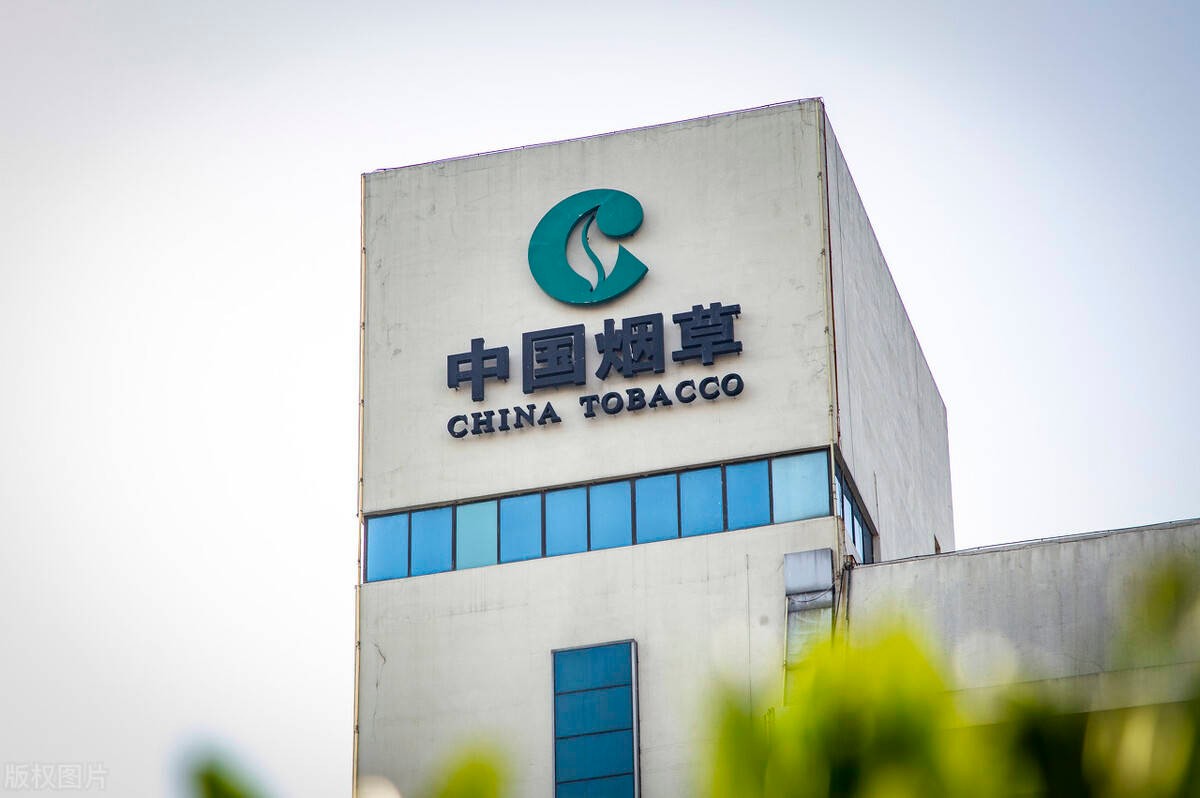 未来想要进入到中国烟草,可以选择这4个大学,录取分数线不高