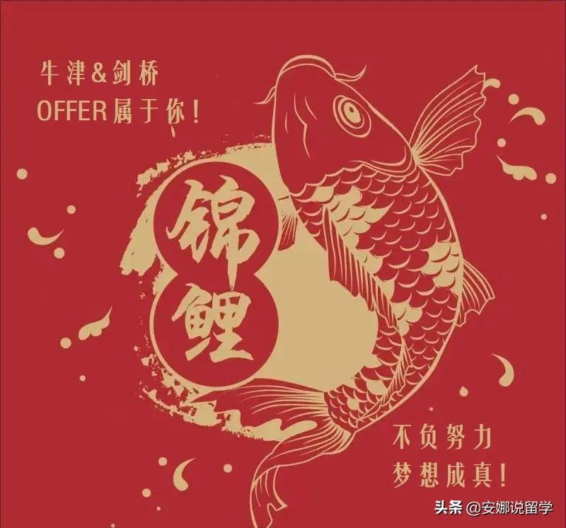 剑桥放榜在即！剑桥33个本科专业中往年哪些录取率最高？