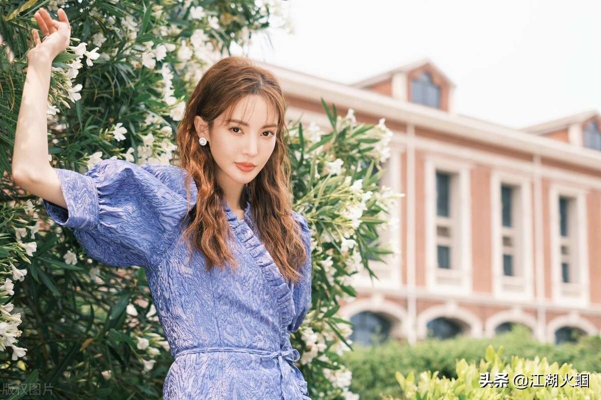 八卦：任嘉伦 谭松韵 金晨 杨紫 娜扎 蓝盈莹 林更新 彭于晏 罗云熙 刘亦菲