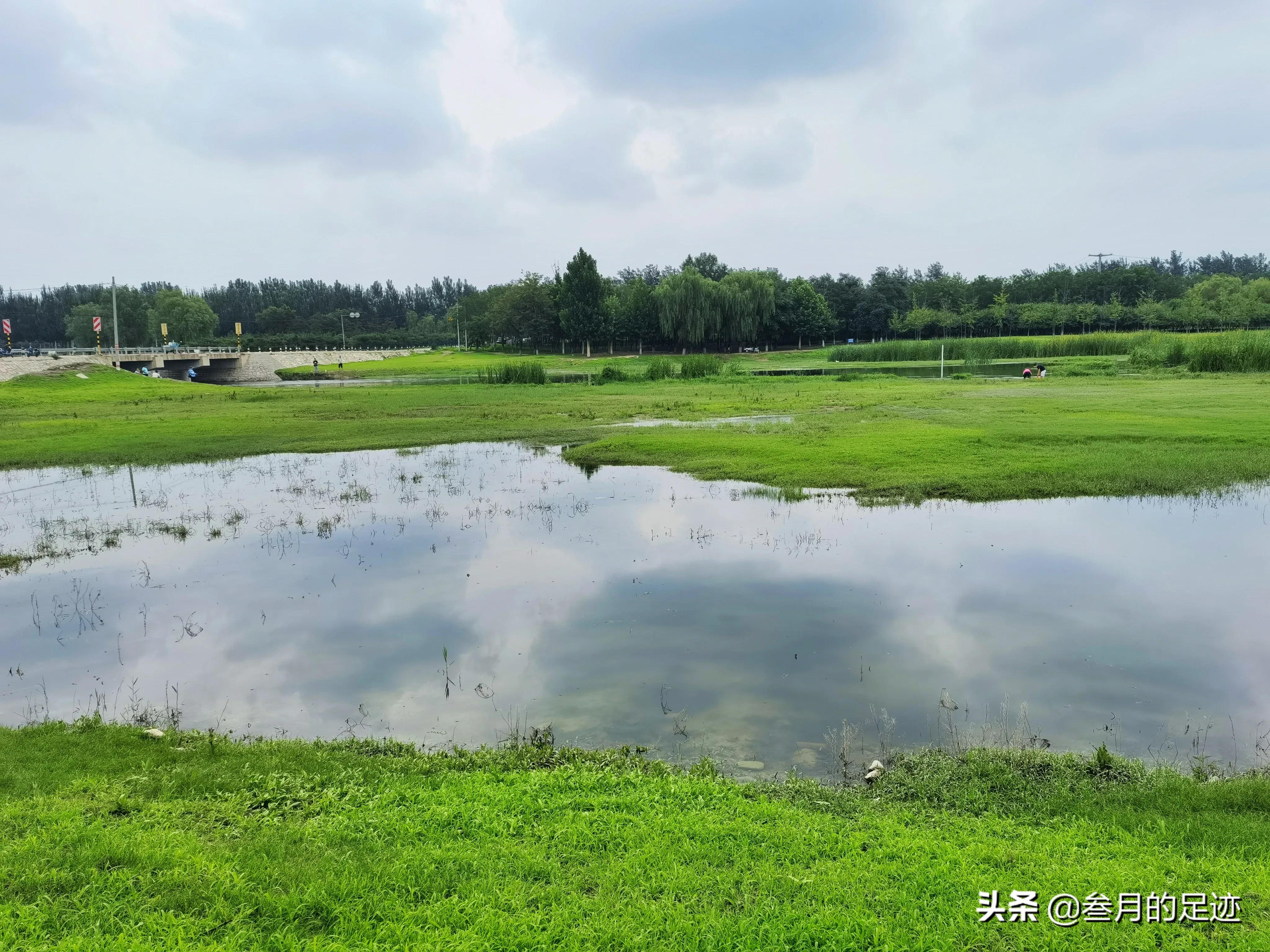 草地，森林，美丽的河流，露营遛娃，北京房山夏日休闲好去处