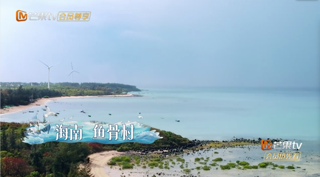 向往的生活播出时间芒果TV(《向往的生活》今晚十点开播，我们在哪儿见？​​​)