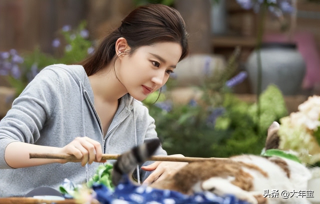唐嫣,杨洋的《去有风的地方》咋样?