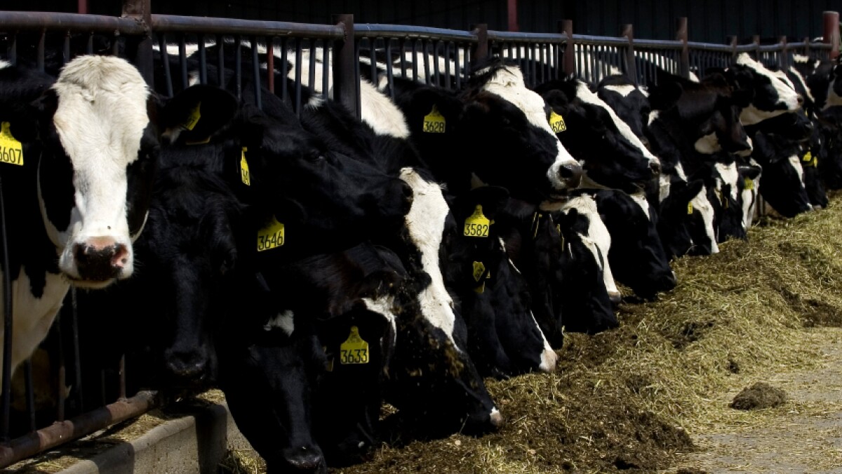 辛普森一家預言2023年“生化危機”爆火 全球公衛安全焦慮爆棚？