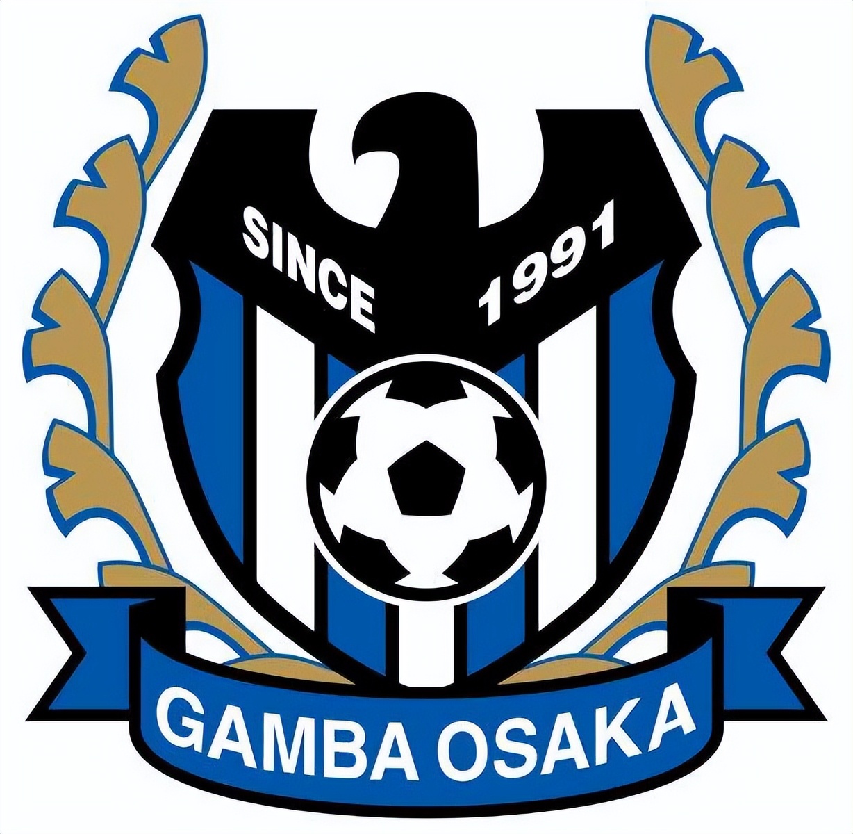 日本足球联赛队名大全(透过足球看世界:日本俱乐部是怎