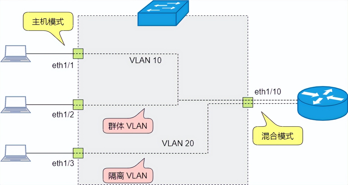 图解三层交换机：局域网都用它来组网