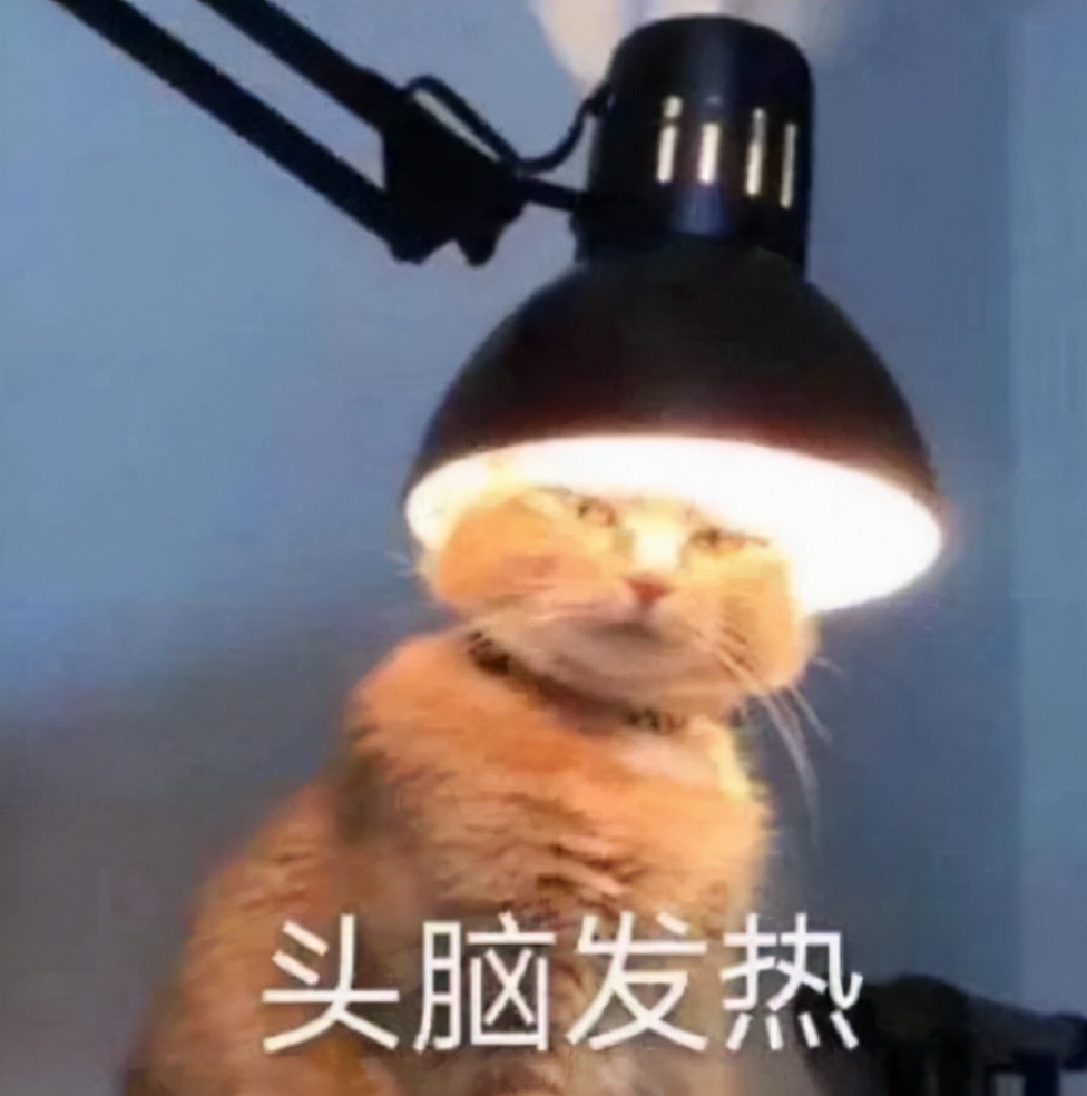 大学生期末复习现状：站着就不想学，跪着也学不会