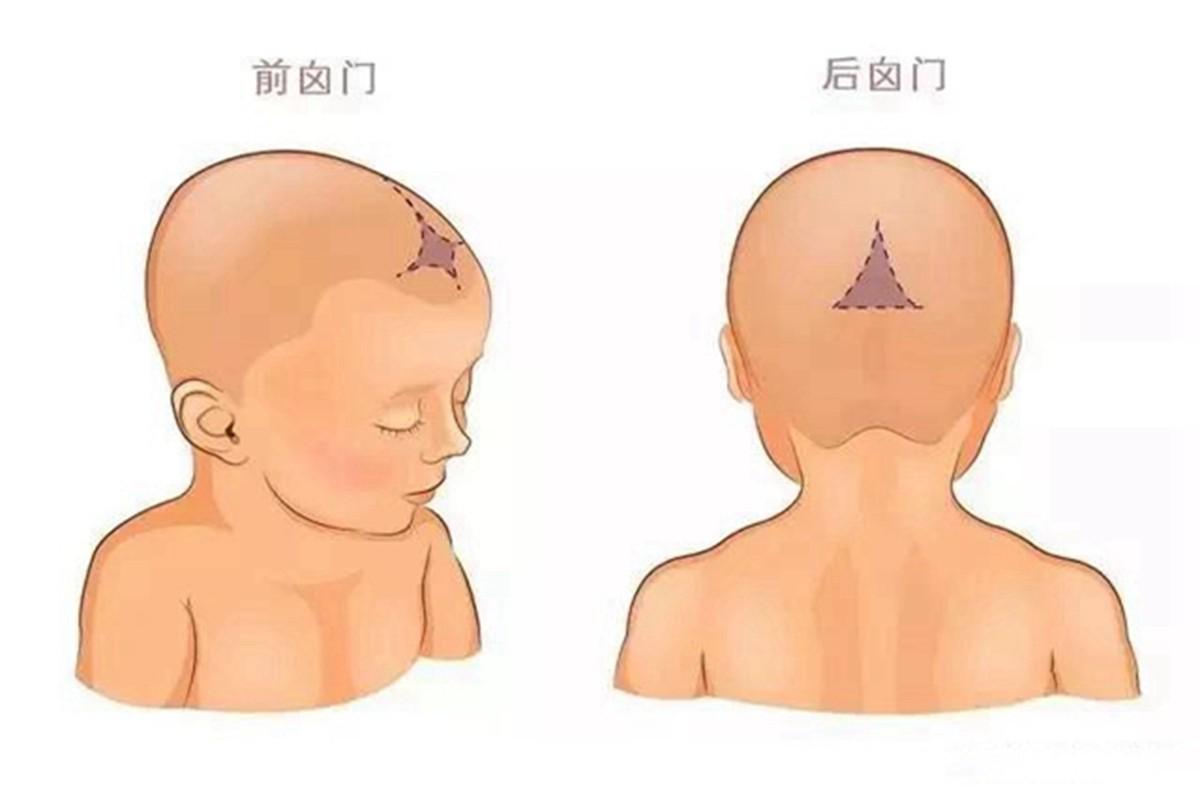 宝宝出生之后,身上的骨骼都是比较软的,并且头骨也是没有发育完全的