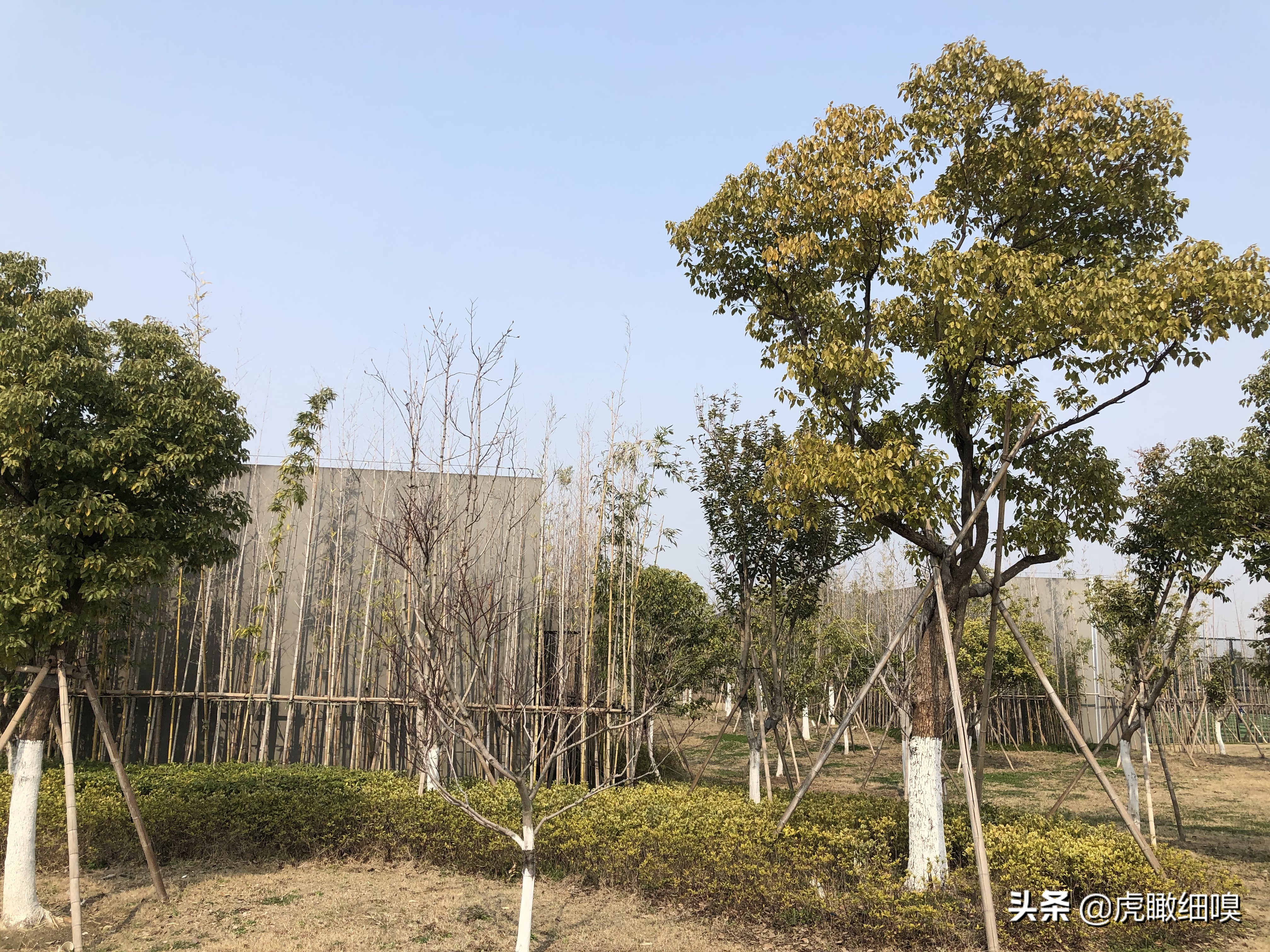 下沙篮球馆(下沙钱塘生态公园：能挖沙，打篮球，踢足球，适合休闲的公园)