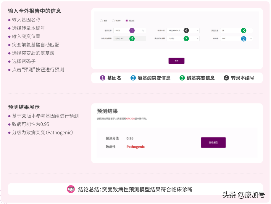 中国自己的罕见病数据中心推动基因治疗研究