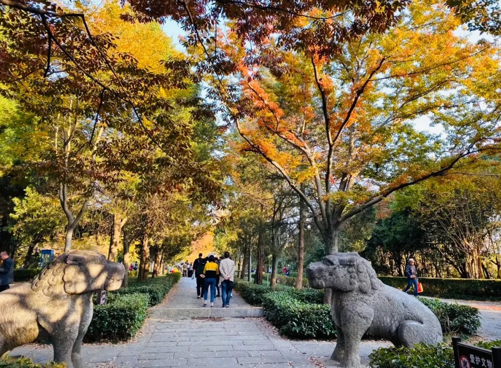 南京十大网红景点，景美独特好玩