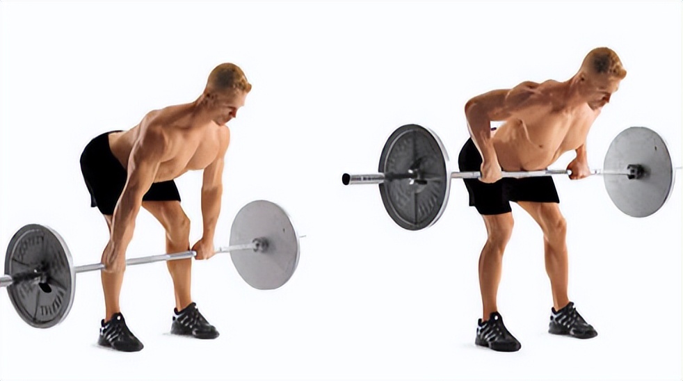 背部训练的黄金动作（五个最有效最简单的背部动作，助你打造宽背）