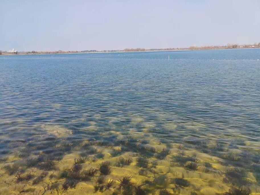 武漢市東西湖區(qū)杜公湖國(guó)家濕地公園舊貌換新顏