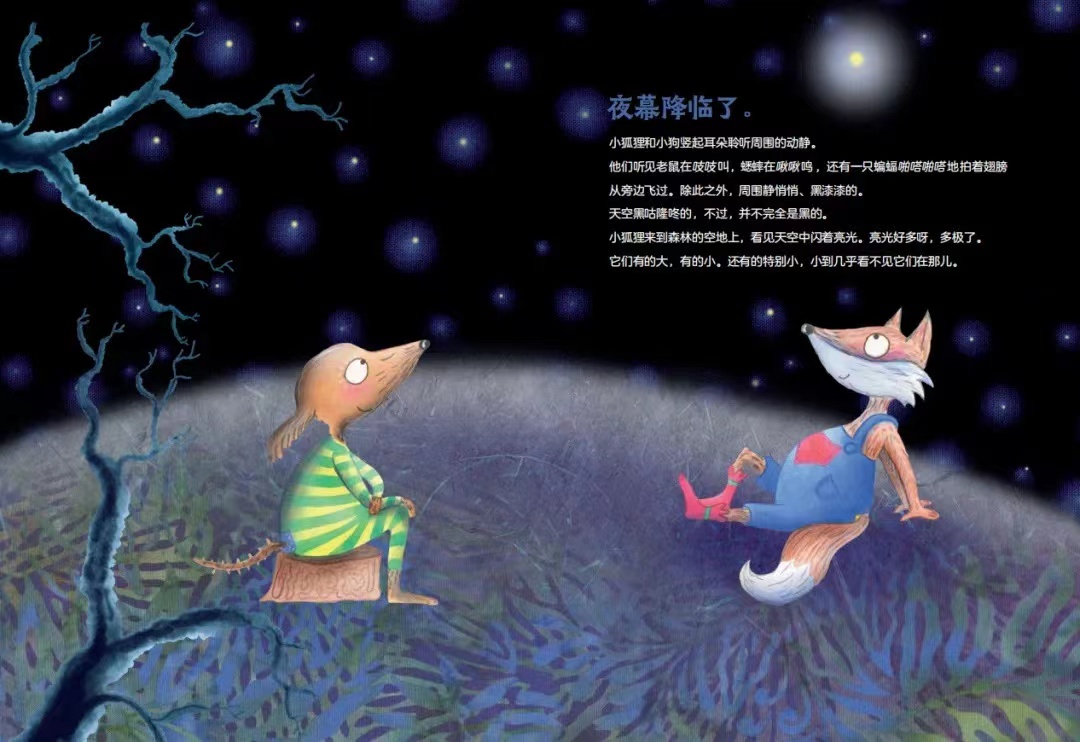 绘本《最美的星星》,是荷兰绘本作家丹妮尔·斯科特霍尔斯特的暖心之