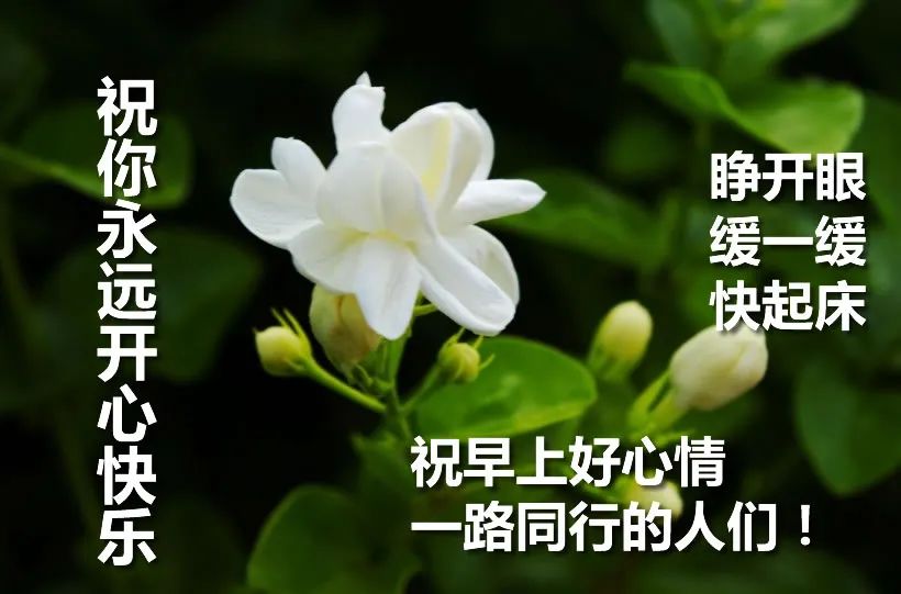 周日早上好问候语，平安吉祥，一声友情的问候，一份平淡的祝福