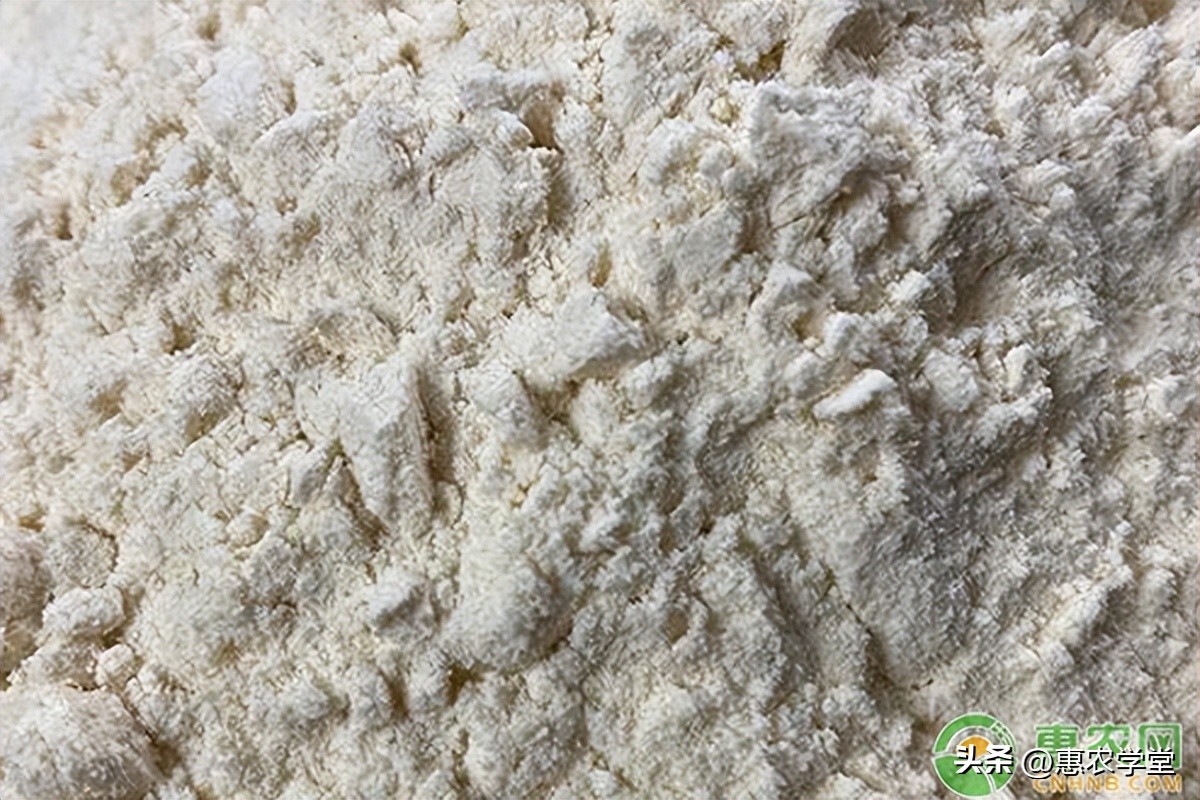 最便宜的今日面粉价格，最便宜的面粉多少钱一袋