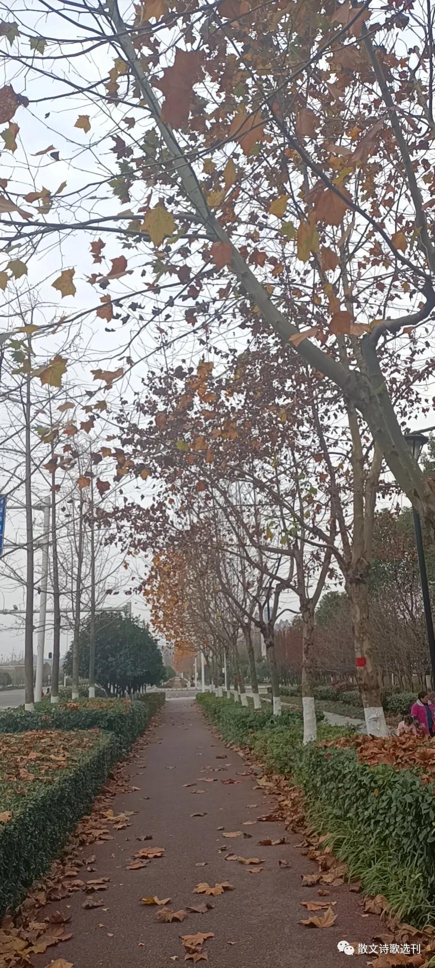 冬日絮语，漫谈自媒体达人及网红现象