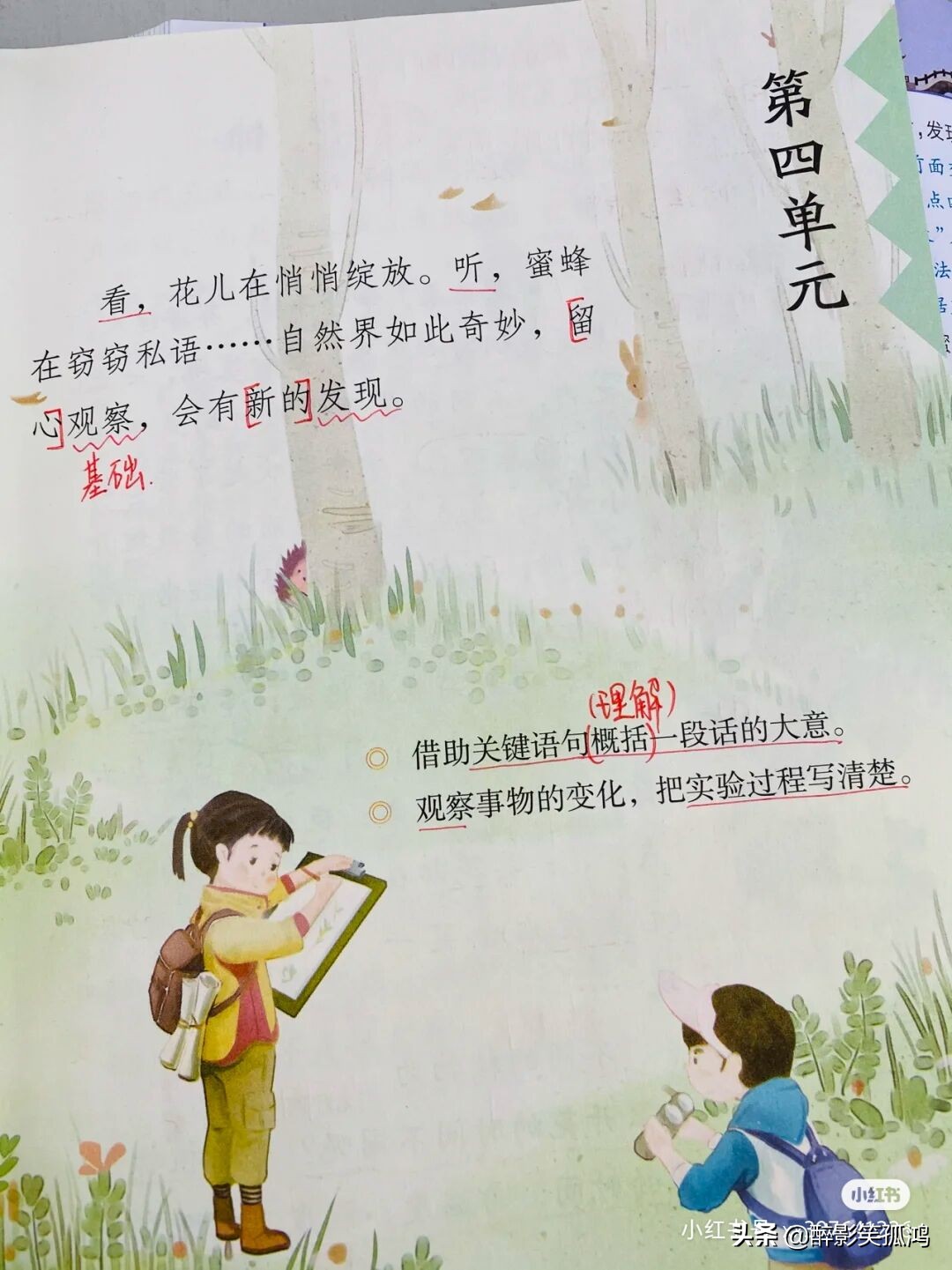 三年级语文下册第4单元课堂笔记，详细整理课文知识点