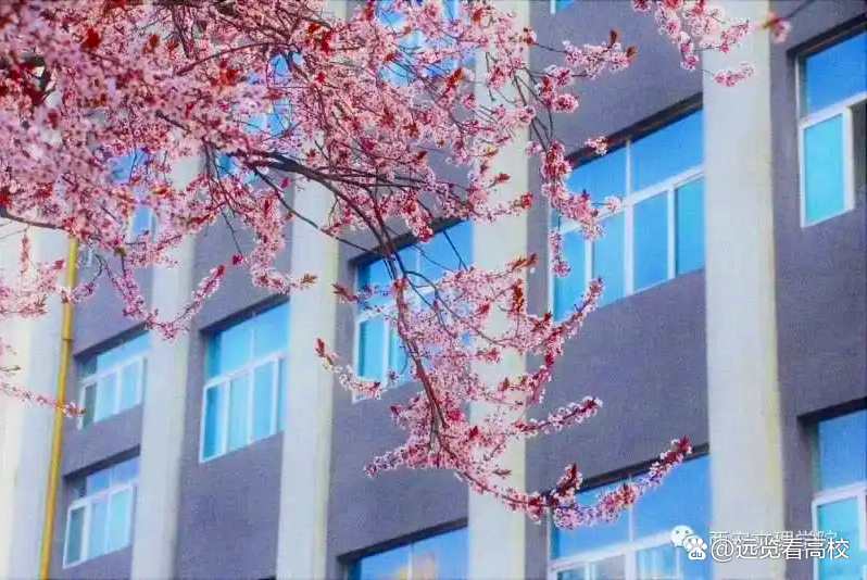 没陕西大学也没西安大学，唯一缺失以省份和省会命名的大学的省份